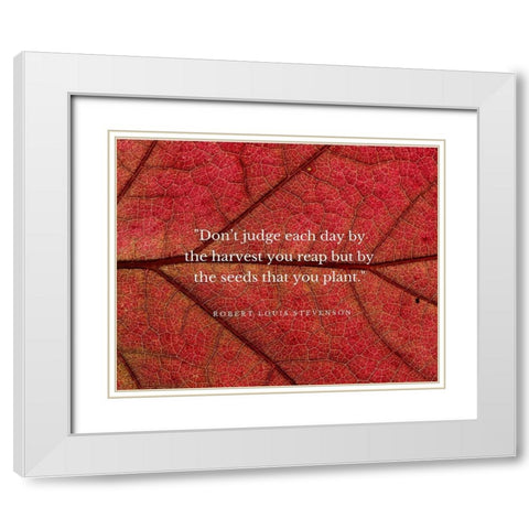 Robert Louis Stevenson Quote: Dont Judge Each Day White Modern Wood Framed Art Print with Double Matting by ArtsyQuotes