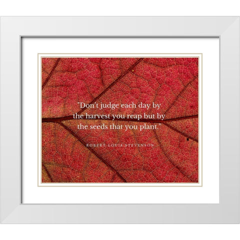 Robert Louis Stevenson Quote: Dont Judge Each Day White Modern Wood Framed Art Print with Double Matting by ArtsyQuotes