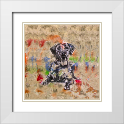 Colorful Dog IV Square White Modern Wood Framed Art Print with Double Matting by Wiley, Marta