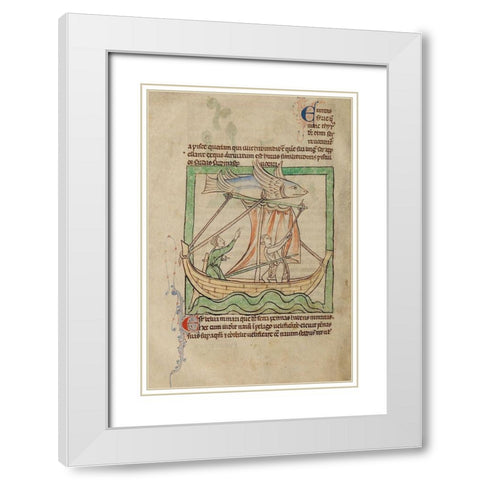 A Flying Fish White Modern Wood Framed Art Print with Double Matting by English 13th Century
