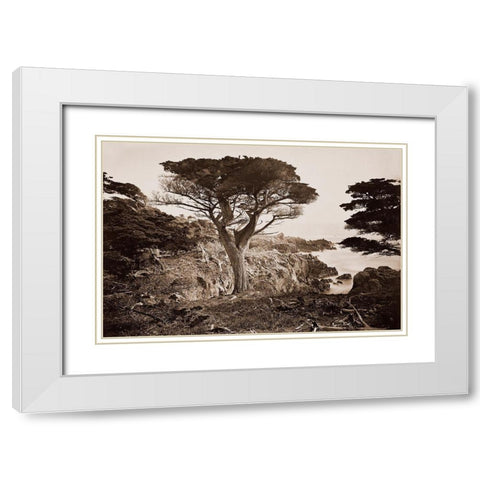 Cypress Point, Monterey, California, about 1880s White Modern Wood Framed Art Print with Double Matting by Watkins, Carleton