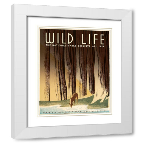 Wild Life; The National Parks Preserve All Life, ca. 1936-1940 White Modern Wood Framed Art Print with Double Matting by Nicholson, Frank S.