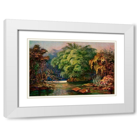 Riesenbambus von Ceylon Fahrt auf dem Schwarzen Fluss Kalu Ganga White Modern Wood Framed Art Print with Double Matting by Haeckel, Ernst