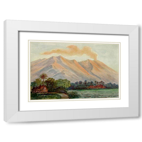 Riesen-Myrte von Ceylon Urwald von Horton-Plains White Modern Wood Framed Art Print with Double Matting by Haeckel, Ernst