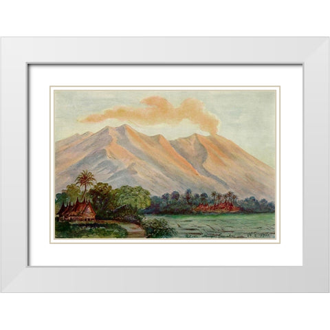 Riesen-Myrte von Ceylon Urwald von Horton-Plains White Modern Wood Framed Art Print with Double Matting by Haeckel, Ernst