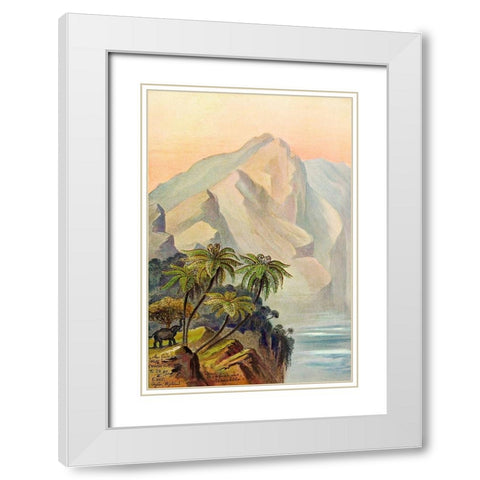 Am Ende der Welt Worlds End. Ceylon White Modern Wood Framed Art Print with Double Matting by Haeckel, Ernst