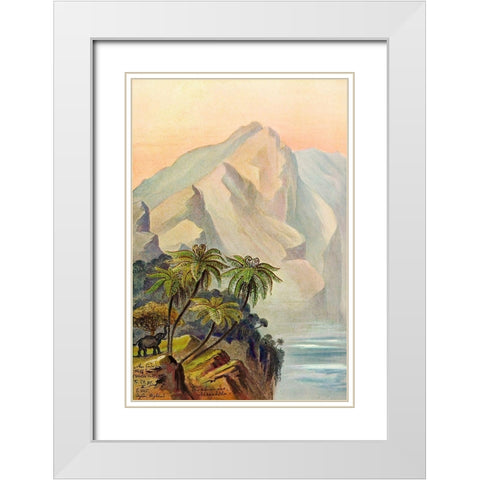 Am Ende der Welt Worlds End. Ceylon White Modern Wood Framed Art Print with Double Matting by Haeckel, Ernst
