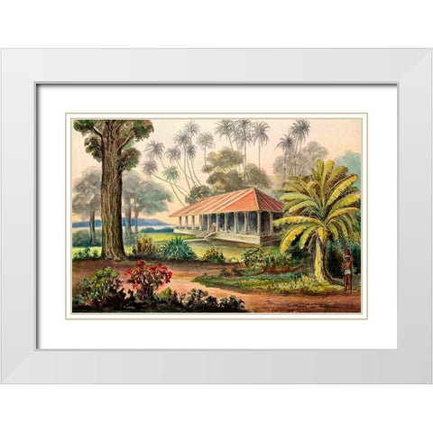 Rasthaus von Belligemma Sudkuste von Ceylon White Modern Wood Framed Art Print with Double Matting by Haeckel, Ernst