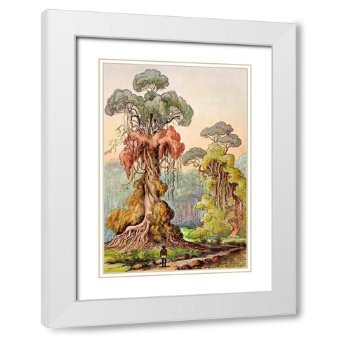 Lianen-Mantel an Saulenbaumen Hochland von Ceylon White Modern Wood Framed Art Print with Double Matting by Haeckel, Ernst