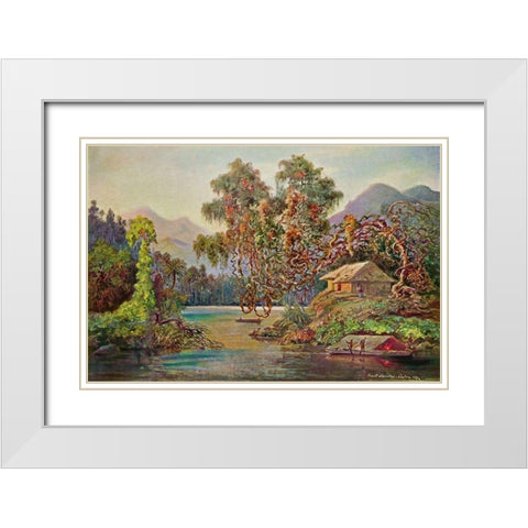 Aralien mit Lianen am Schwarzen Flusse (Ceylon) White Modern Wood Framed Art Print with Double Matting by Haeckel, Ernst