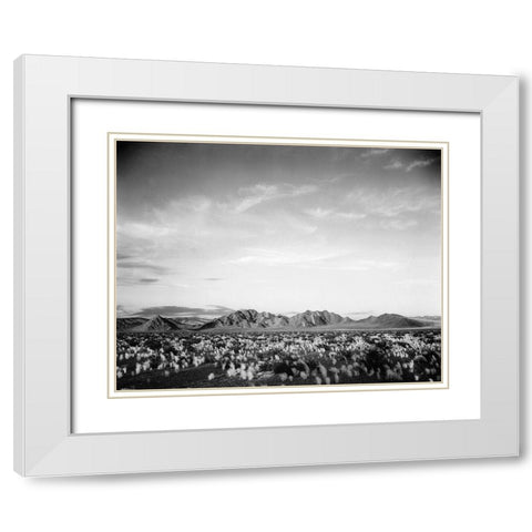 Distant mountains: desert and shrubs in foreground near Death Valley National Monument, California - White Modern Wood Framed Art Print with Double Matting by Adams, Ansel