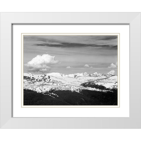 View at timberline, dark foreground, light snow capped mountain, gray sky, in Rocky Mountain Nationa White Modern Wood Framed Art Print with Double Matting by Adams, Ansel