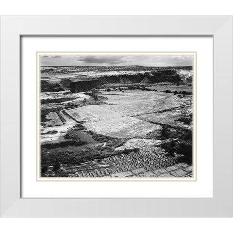 Corn Field, Indian Farm near Tuba City, Arizona, in Rain, 1941 White Modern Wood Framed Art Print with Double Matting by Adams, Ansel