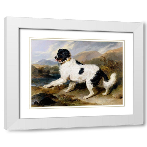 A Newfoundland Dog White Modern Wood Framed Art Print with Double Matting by Landseer, Sir Edwin Henry
