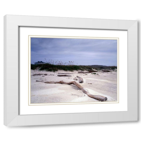 Driftwood on beach at Padre Island, TX White Modern Wood Framed Art Print with Double Matting by Highmith, Carol