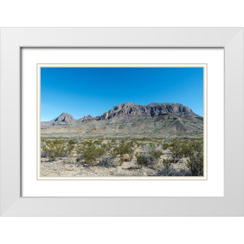 Scenery in Big Bend National Park, TX White Modern Wood Framed Art Print with Double Matting by Highmith, Carol