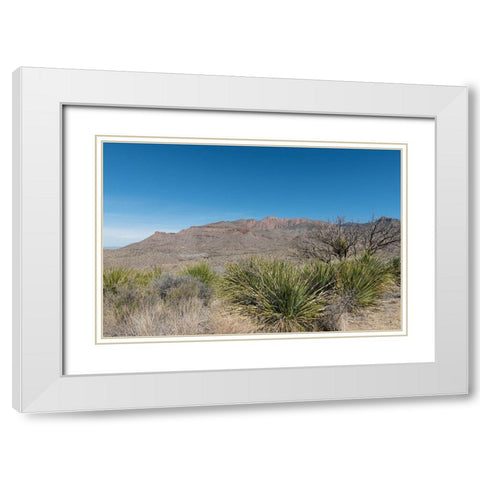 Scenery in Big Bend National Park, TX White Modern Wood Framed Art Print with Double Matting by Highmith, Carol