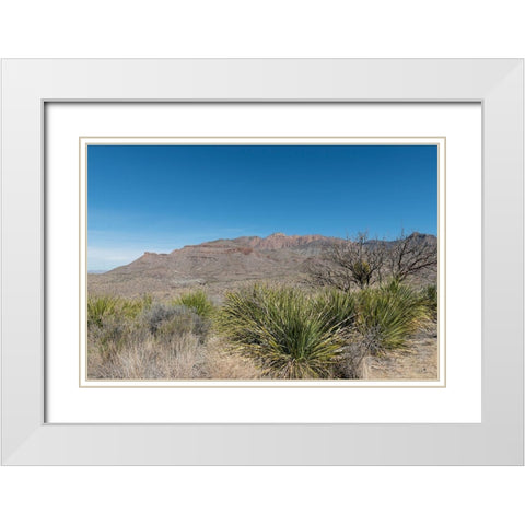 Scenery in Big Bend National Park, TX White Modern Wood Framed Art Print with Double Matting by Highmith, Carol