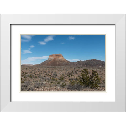 Scenery in Big Bend National Park, TX White Modern Wood Framed Art Print with Double Matting by Highmith, Carol