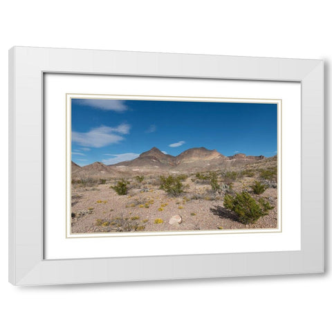 Scenery in Big Bend National Park, TX White Modern Wood Framed Art Print with Double Matting by Highmith, Carol