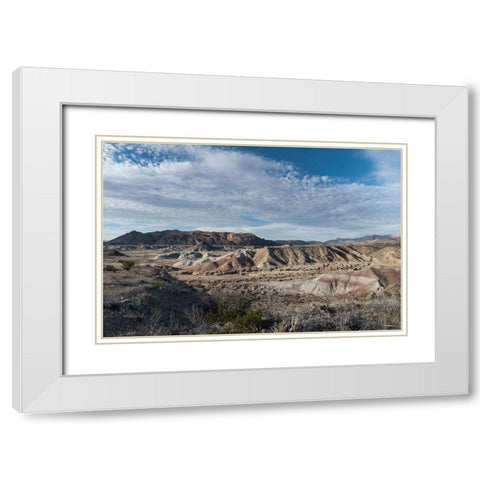 Scenery in Big Bend National Park, TX White Modern Wood Framed Art Print with Double Matting by Highmith, Carol