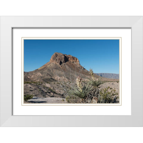 Scene from Big Bend National Park in Brewster County, TX White Modern Wood Framed Art Print with Double Matting by Highmith, Carol
