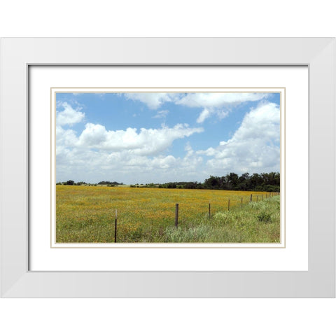 A field of wildflowers near Chappel Hill in Austin County, TX, 2014 White Modern Wood Framed Art Print with Double Matting by Highmith, Carol