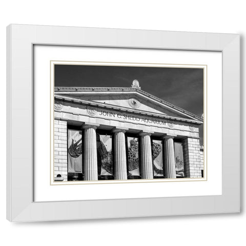 Shedd Aquarium Chicago Illinois White Modern Wood Framed Art Print with Double Matting by Highsmith, Carol