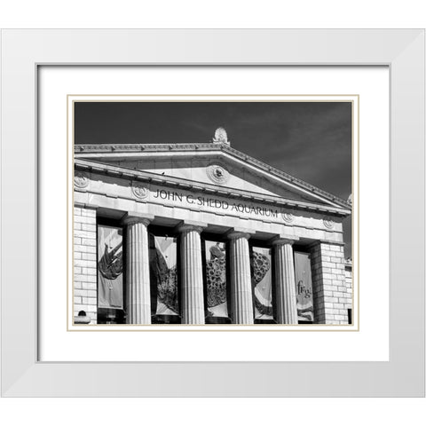 Shedd Aquarium Chicago Illinois White Modern Wood Framed Art Print with Double Matting by Highsmith, Carol