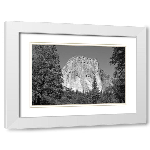 El Capitan in Yosemite National Park California White Modern Wood Framed Art Print with Double Matting by Highsmith, Carol