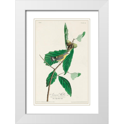 Black and Yellow Warbler White Modern Wood Framed Art Print with Double Matting by Audubon, John James