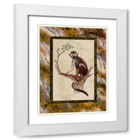 Squirrel Monkey White Modern Wood Framed Art Print with Double Matting by Kruskamp, Janet