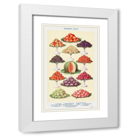 Dessert Fruit White Modern Wood Framed Art Print with Double Matting by Mrs. Beeton''s Book of Household Management
