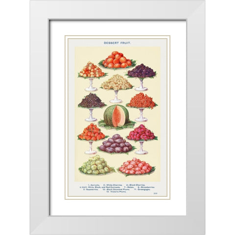 Dessert Fruit White Modern Wood Framed Art Print with Double Matting by Mrs. Beeton''s Book of Household Management