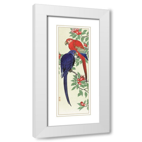 Red and a blue parrot White Modern Wood Framed Art Print with Double Matting by Koson, Ohara