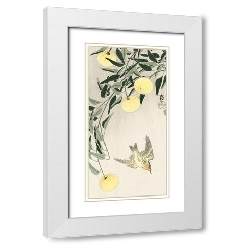Cuckoo in the rain White Modern Wood Framed Art Print with Double Matting by Koson, Ohara
