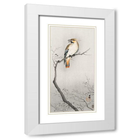 Japanese plague bird on branch White Modern Wood Framed Art Print with Double Matting by Koson, Ohara