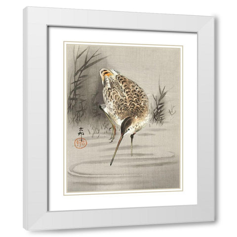 Snipe in the water White Modern Wood Framed Art Print with Double Matting by Koson, Ohara