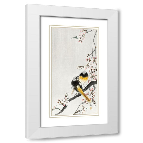 Two sable red tails with cherry blossom White Modern Wood Framed Art Print with Double Matting by Koson, Ohara