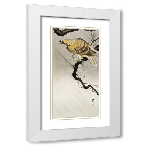 Eagle on branch White Modern Wood Framed Art Print with Double Matting by Koson, Ohara