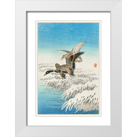 Pair of ducks flying over snowy reed collar White Modern Wood Framed Art Print with Double Matting by Koson, Ohara