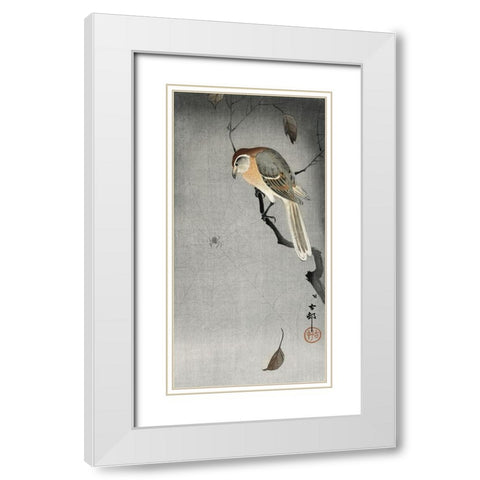 Buffalo wing shrike and spider White Modern Wood Framed Art Print with Double Matting by Koson, Ohara