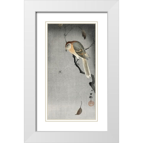 Buffalo wing shrike and spider White Modern Wood Framed Art Print with Double Matting by Koson, Ohara