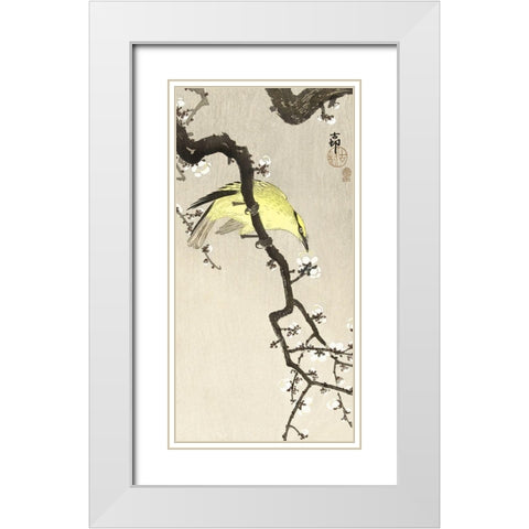Chinese oriole on plum blossom branch White Modern Wood Framed Art Print with Double Matting by Koson, Ohara