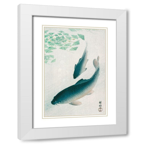 Carp or Koi White Modern Wood Framed Art Print with Double Matting by Koson, Ohara