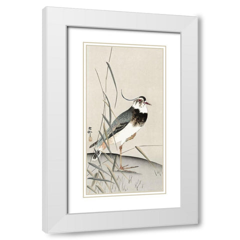 Lapwing and reed White Modern Wood Framed Art Print with Double Matting by Koson, Ohara