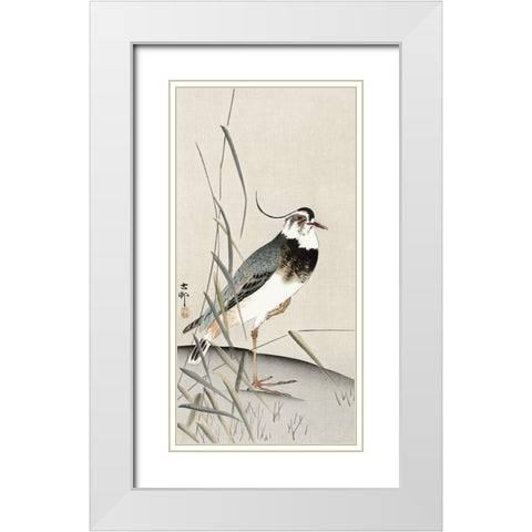 Lapwing and reed White Modern Wood Framed Art Print with Double Matting by Koson, Ohara