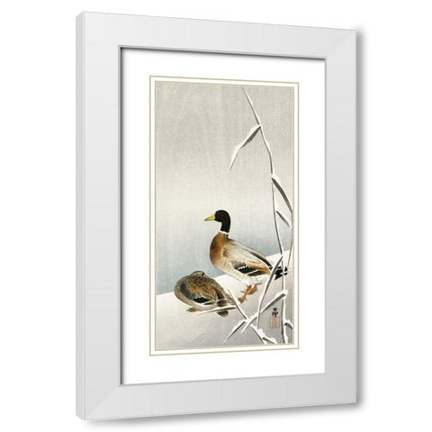 Two ducks on snowy reed White Modern Wood Framed Art Print with Double Matting by Koson, Ohara