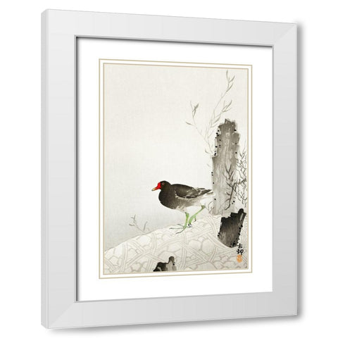 Moorhen White Modern Wood Framed Art Print with Double Matting by Koson, Ohara