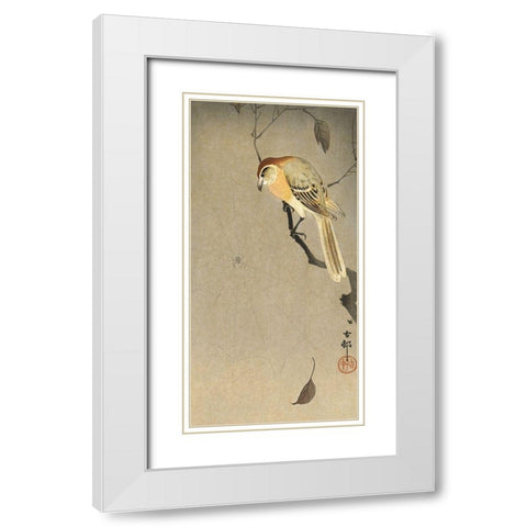 Buffalo wing shrike and spider White Modern Wood Framed Art Print with Double Matting by Koson, Ohara